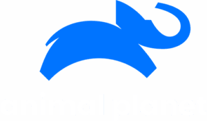 animalplanet